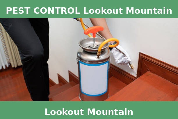 PEST CONTROL Lookout Mountain